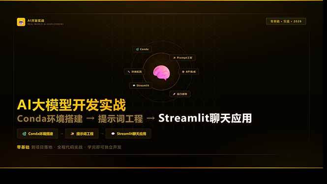 AI大模型开发实战：Conda环境搭建→提示词工程→Streamlit聊天应用，零基础到项目落地-燕子项目网