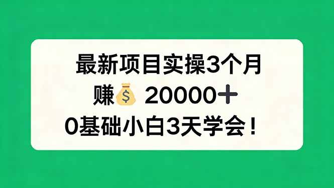 最新项目实操3个月，赚钱20000+，0基础小白3天学会！-燕子项目网