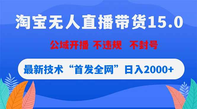 淘宝无人直播带货15.0，不封号，不违规，公域玩法，首发全网日入2000+-燕子项目网