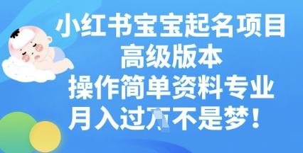 小红书宝宝起名项目高级版本,操作简单,资料专业,月入过W-燕子项目网