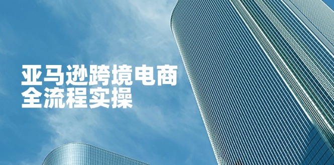 （14252期）亚马逊跨境电商全流程实操，教你从零开始，掌握店铺运营与广告技巧-燕子项目网
