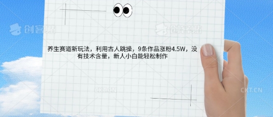 AI养生赛道新玩法，10条作品涨粉5.2W，操作简单，新人小白能轻松制作-燕子项目网