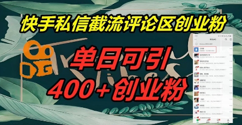 快手私信截流创业粉,一天引流400+-燕子项目网