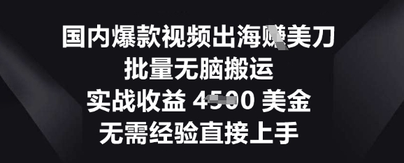 国内爆款视频出海挣美刀,批量无脑搬运,实战收益4.5k,无需经验直接上手-燕子项目网