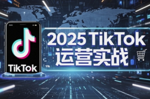 2025TikTok电商运营,掌握TikTok店铺运营核心技巧,实现低成本高转化-燕子项目网