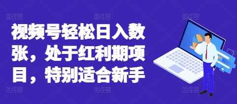 视频号轻松日入数张，处于红利期项目，特别适合新手-燕子项目网