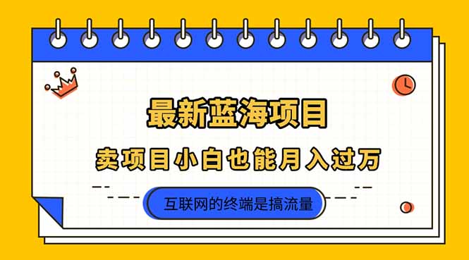 （14289期）2025年最新蓝海项目，卖项目小白也能月入过万-燕子项目网
