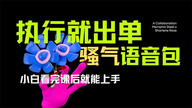 （14170期）爆火全网的开车导航骚气语音包,只要执行就出单，小白看完课程就能实操...-燕子项目网