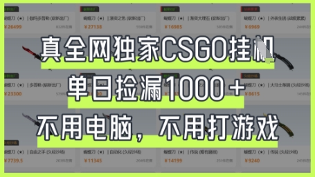 真全网独家CSGO挂G,单日捡漏1k+【揭秘】-燕子项目网