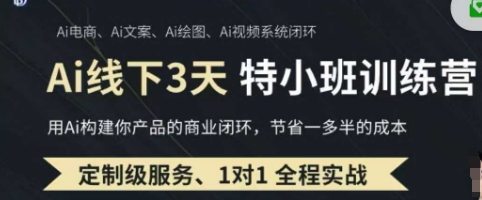 AI实操培训第20-21期线下，0基础保姆级教程，3月最新整理，企业获客、降本增效、打造超级个体-燕子项目网