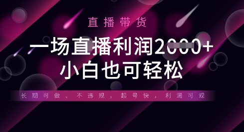 半无人直播带货,一场利润数张,适合所有平台玩法,小白也可轻松-燕子项目网