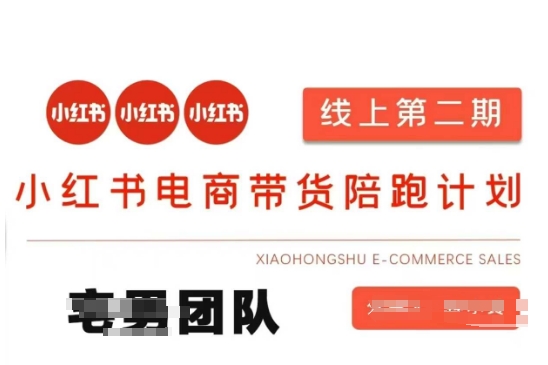 小红书电商带货课2期,月利润20个的小红书电商的有货源,无货源,虚拟产品,付费投流等整套玩法-燕子项目网