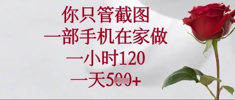 你只管截图，一部手机在家操作，一小时120.一天5张【揭秘】-燕子项目网